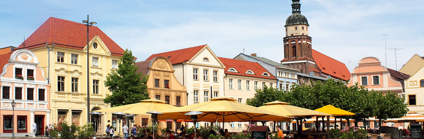 iQ Lingua language school Cottbus