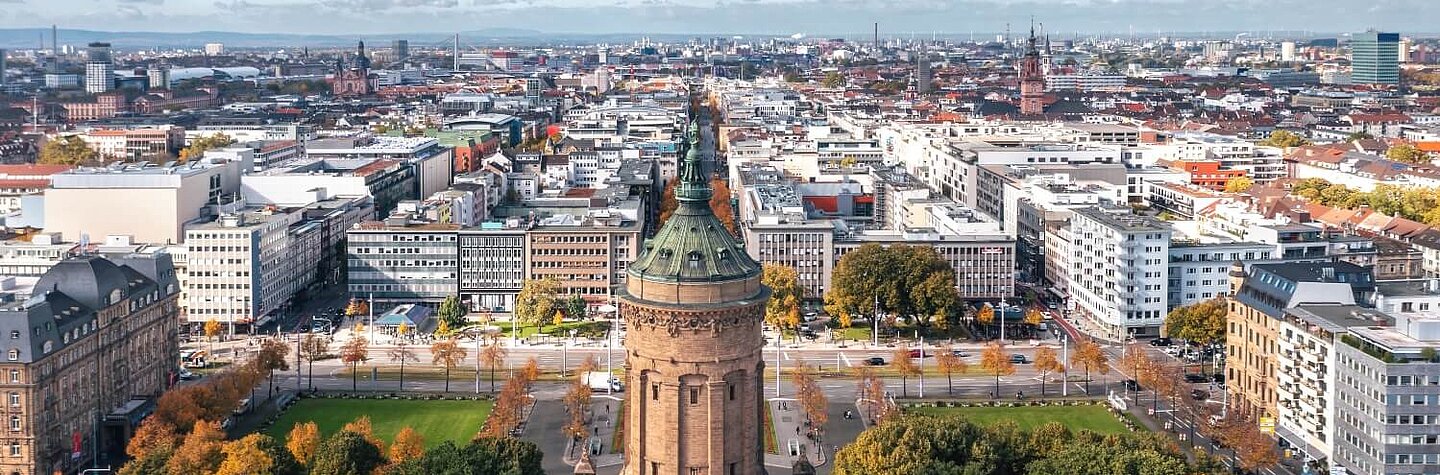 iQ Lingua language school Mannheim