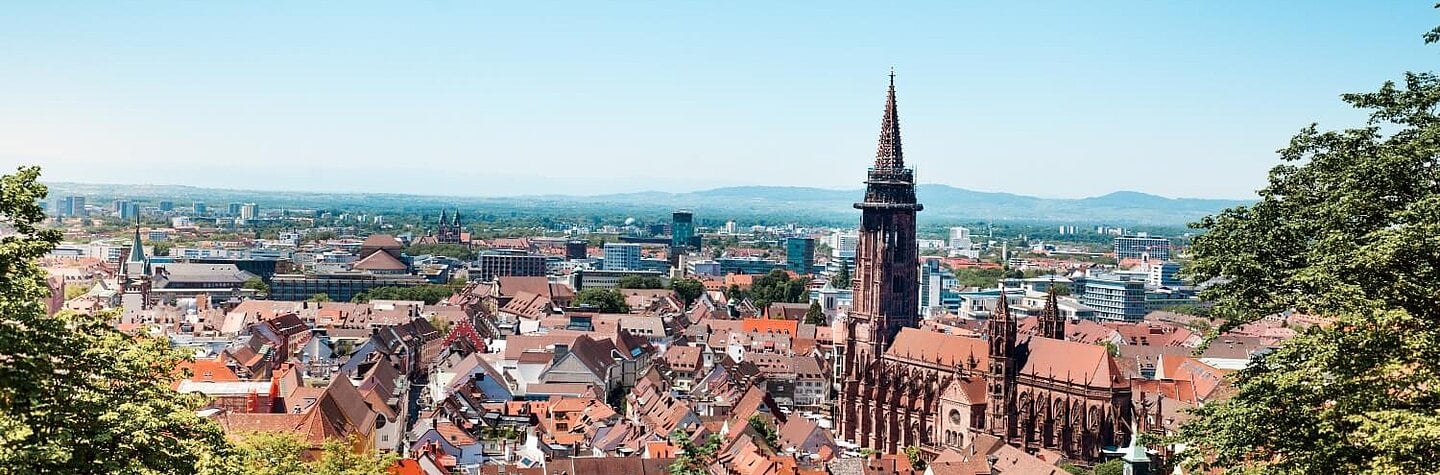 iQ Lingua language school Freiburg